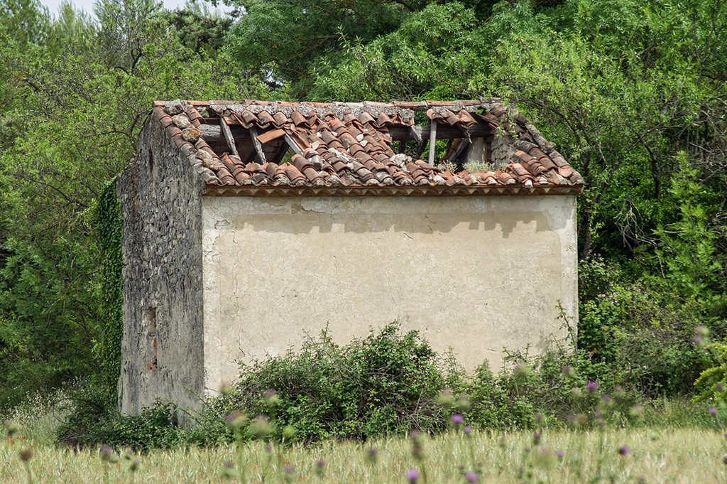 Ekspertyza przyczyn zawalenia dachu - Biegły rzeczoznawca budowlany - Wycena wartości szkody